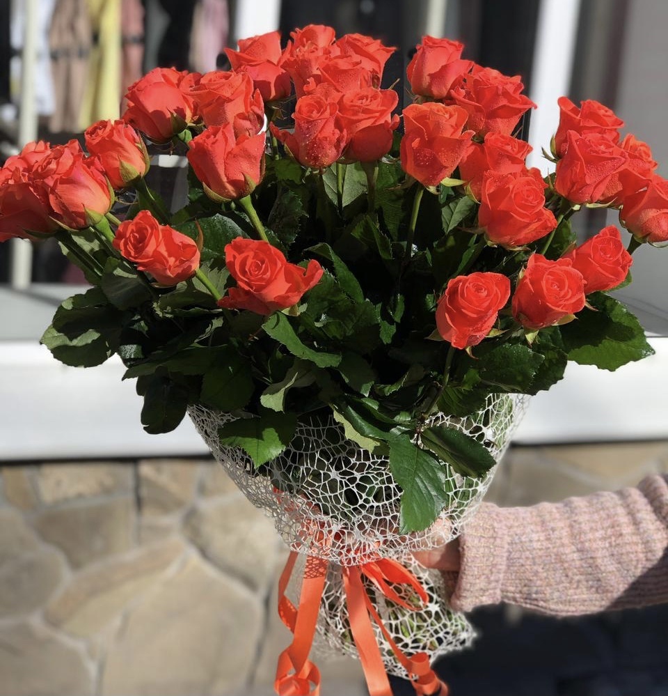 Первая встреча