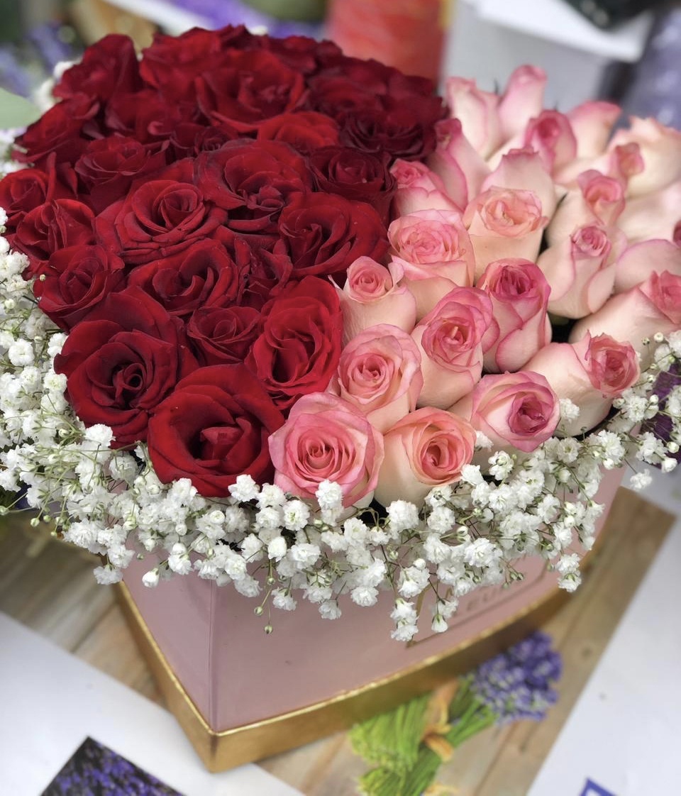 Искренний вечер 