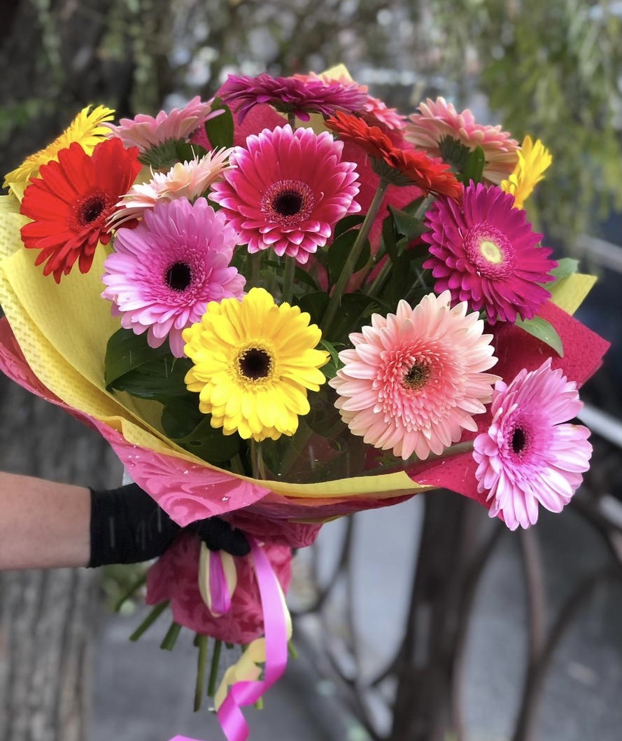 Теплые объятия 