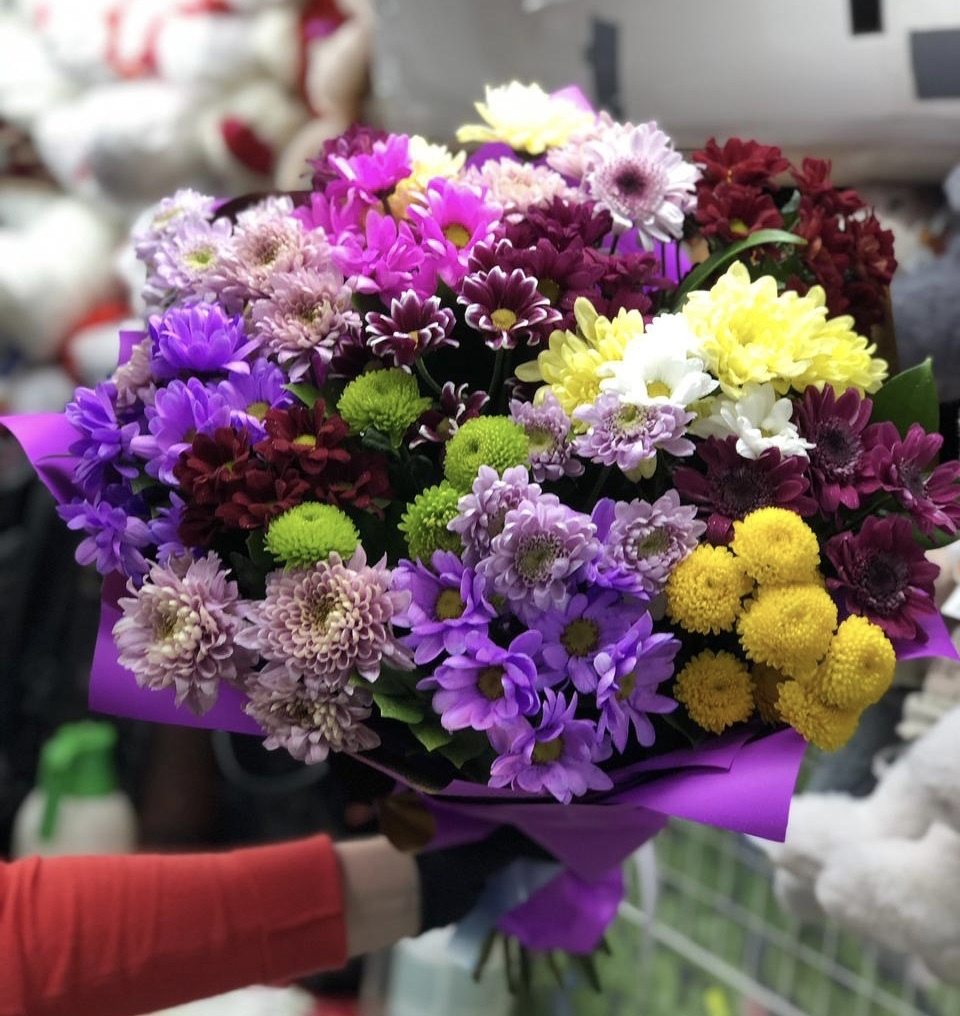 Райская птица