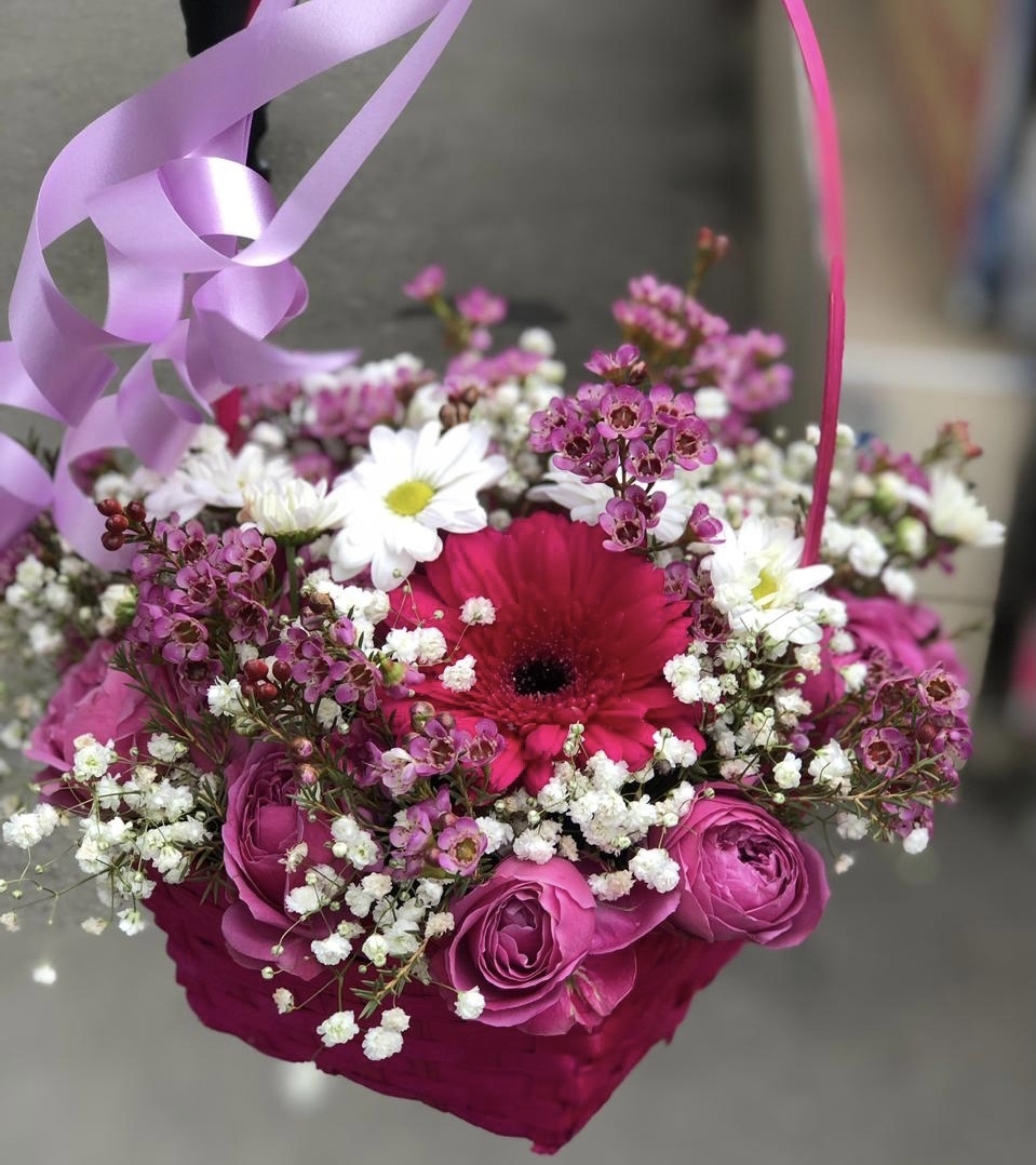 Вечерняя прогулка