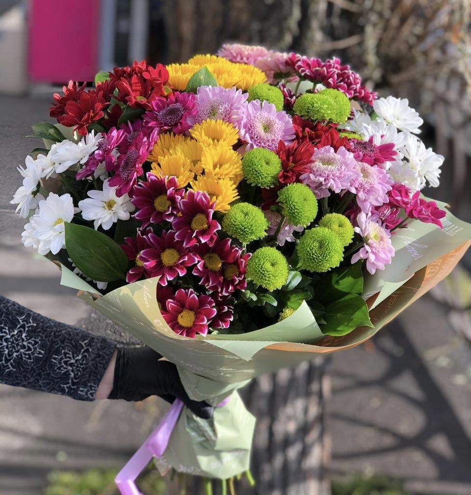 Родные просторы