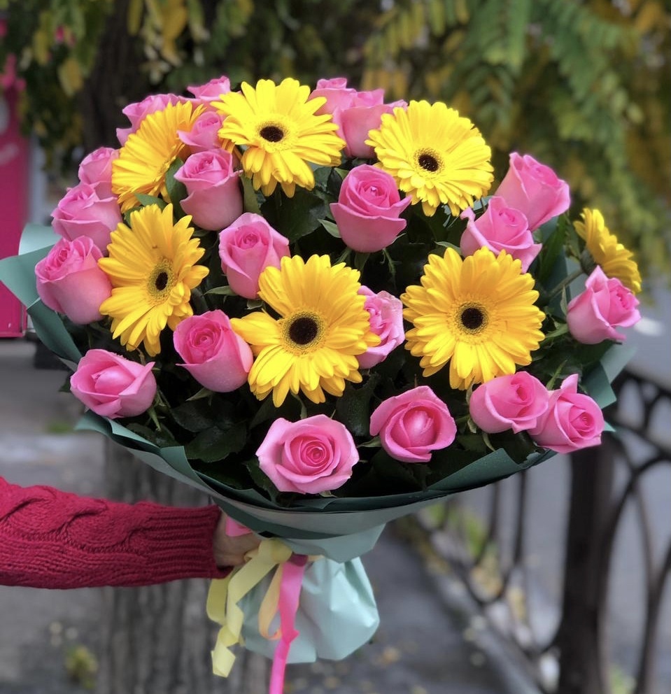 Солнечные блики