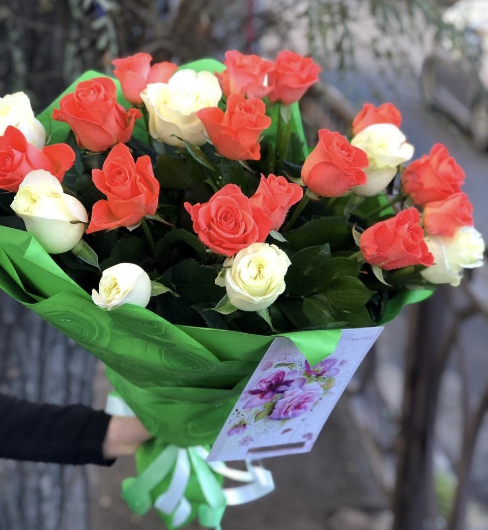 Солнечные блики