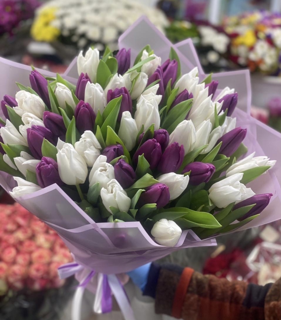 Сад наслаждений 