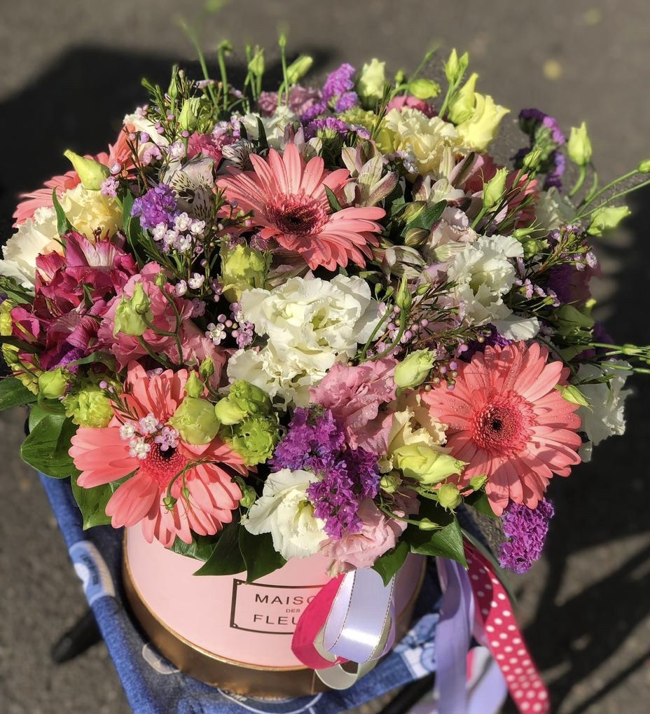 Небесные ласточки