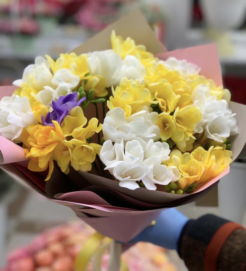 Солнечный зайчик