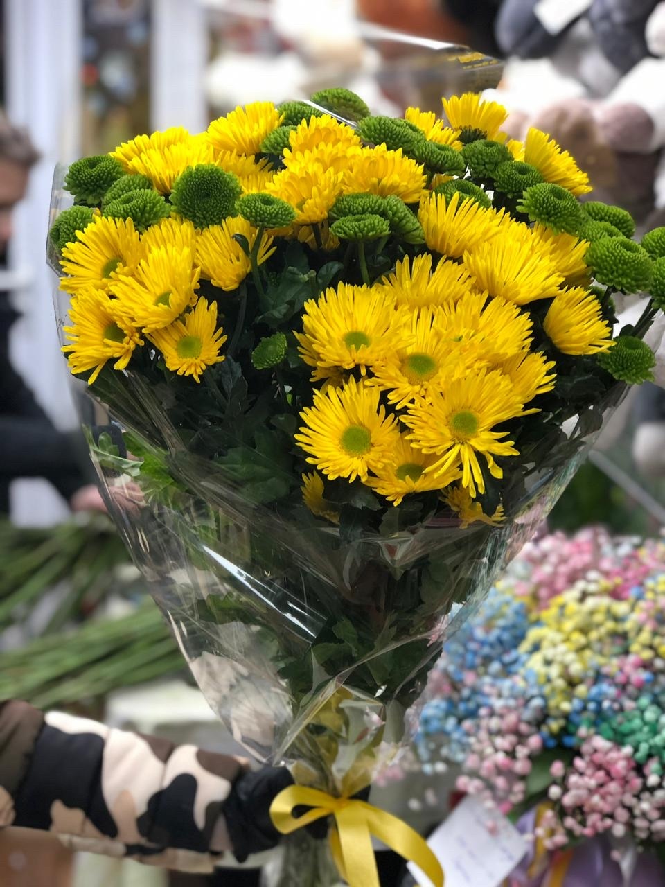 Солнечный взгляд