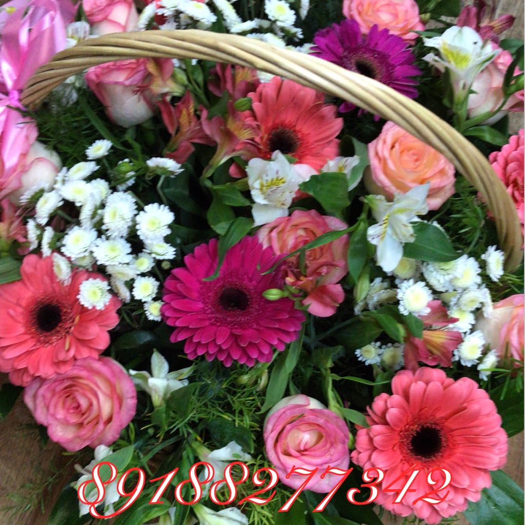 Летнее утро