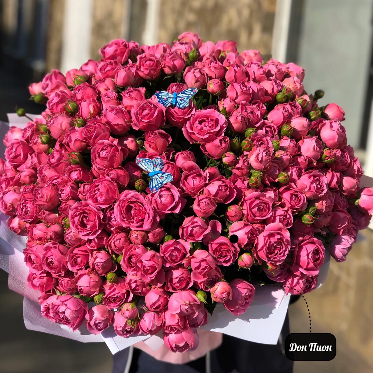 Лиловый  Пион