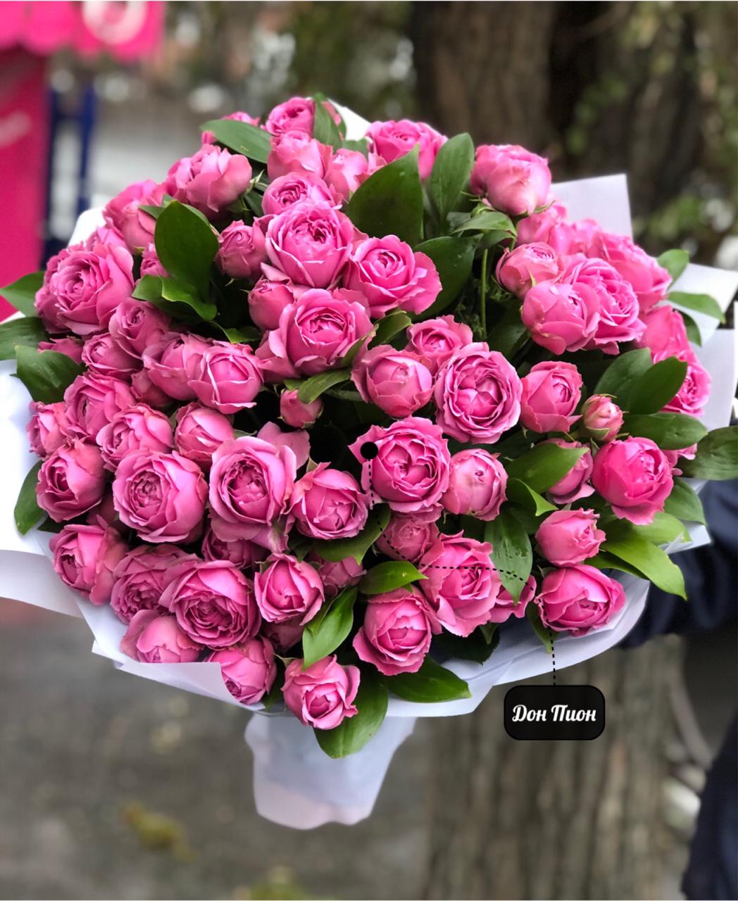 Пионовый Рай