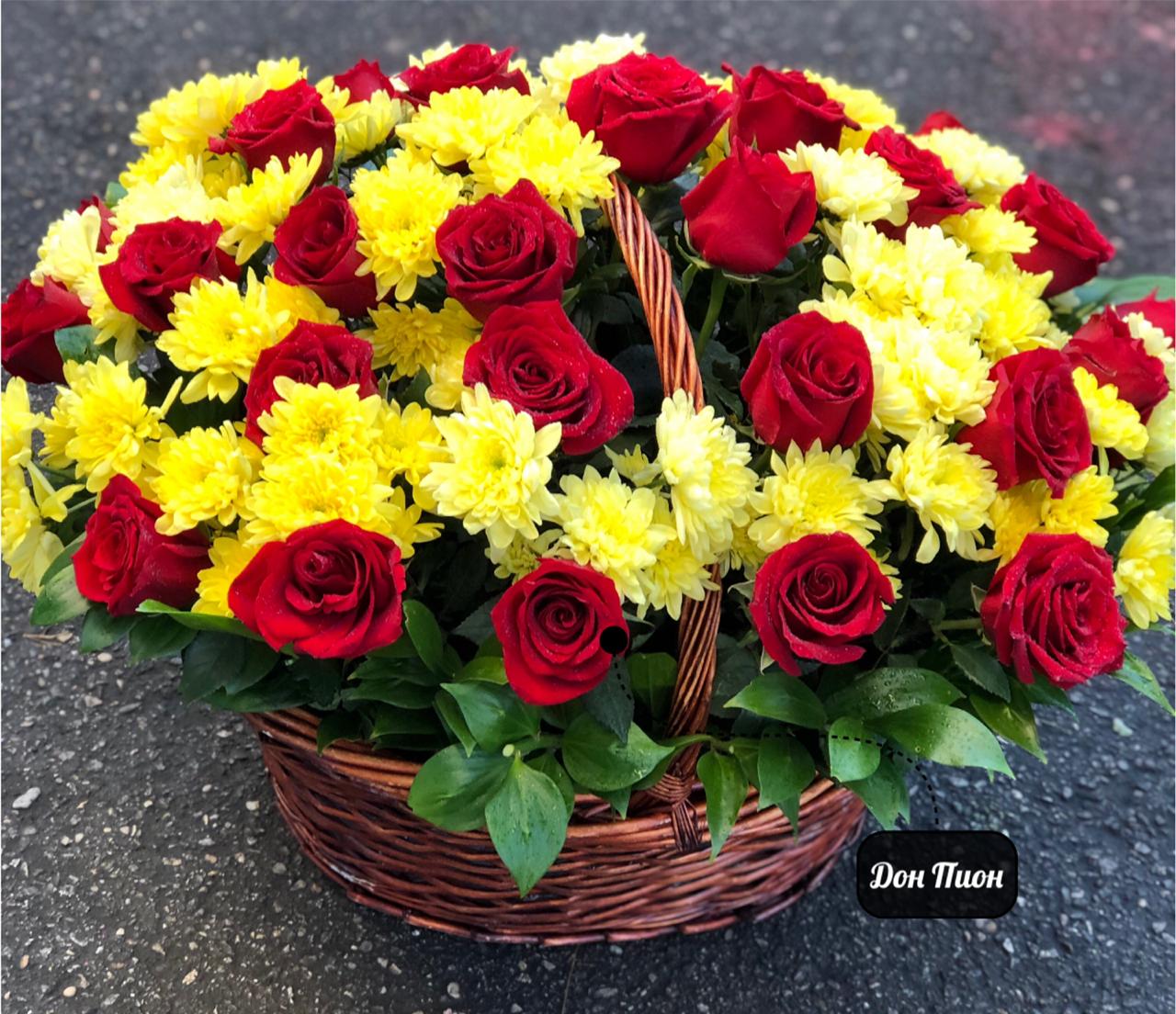 Цветущая Грация 