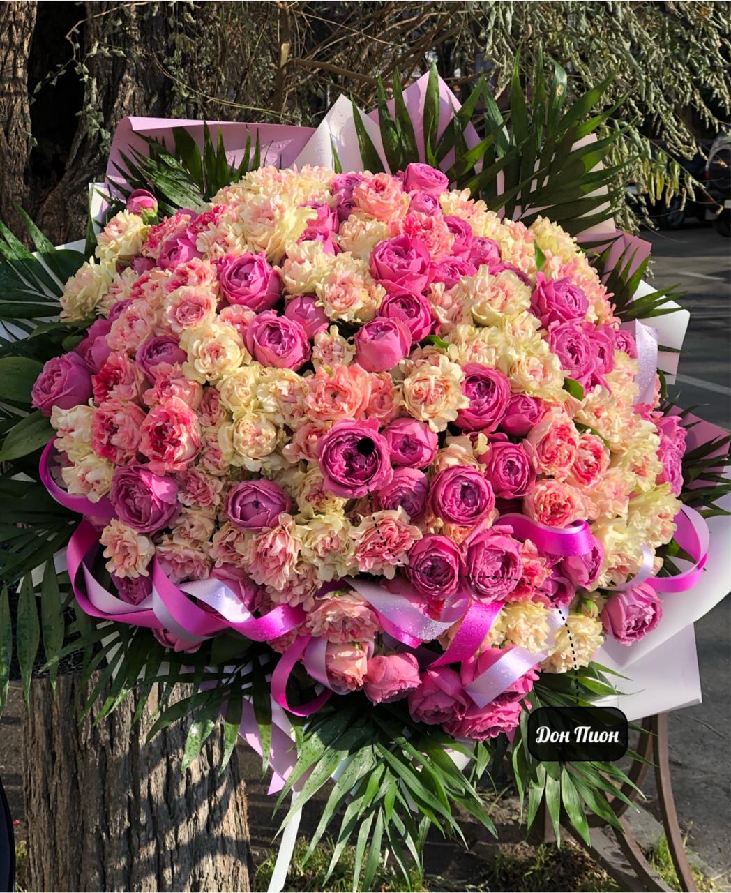 Ты моя Жизнь