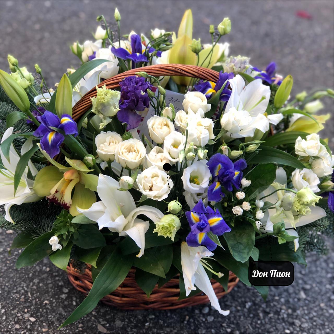 Очаровательная незнакомка 