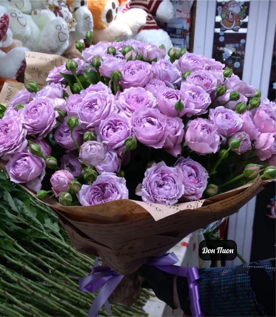 Сиреневый туман