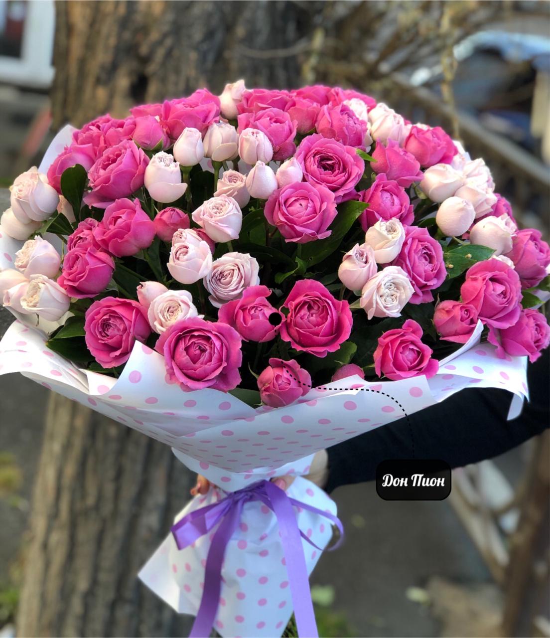 Все о любви