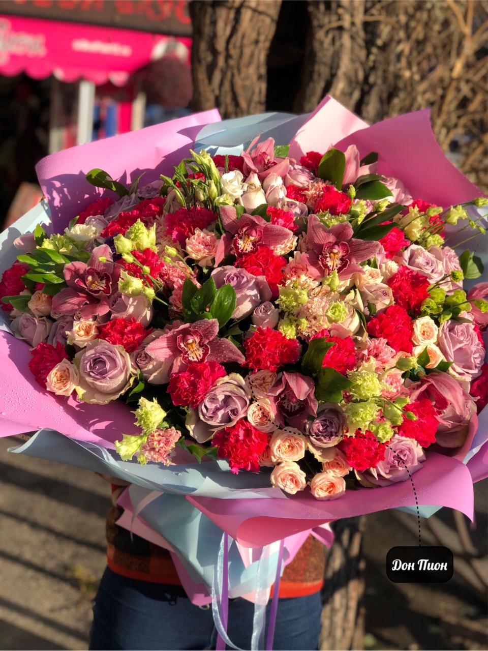 Брызги Шампанского 