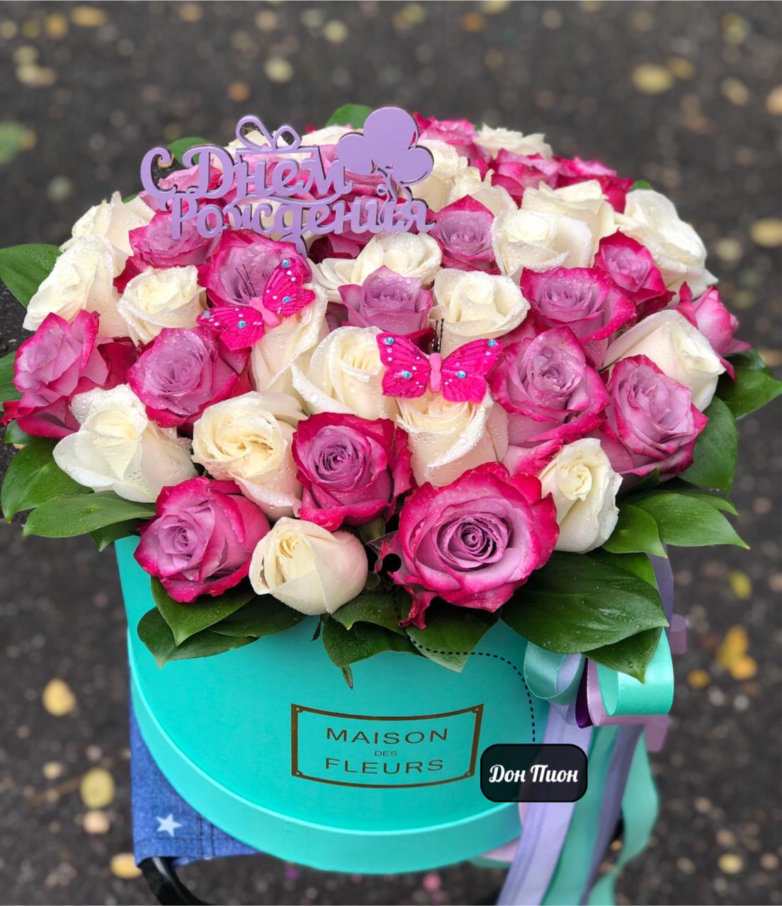 Облачные Чувства