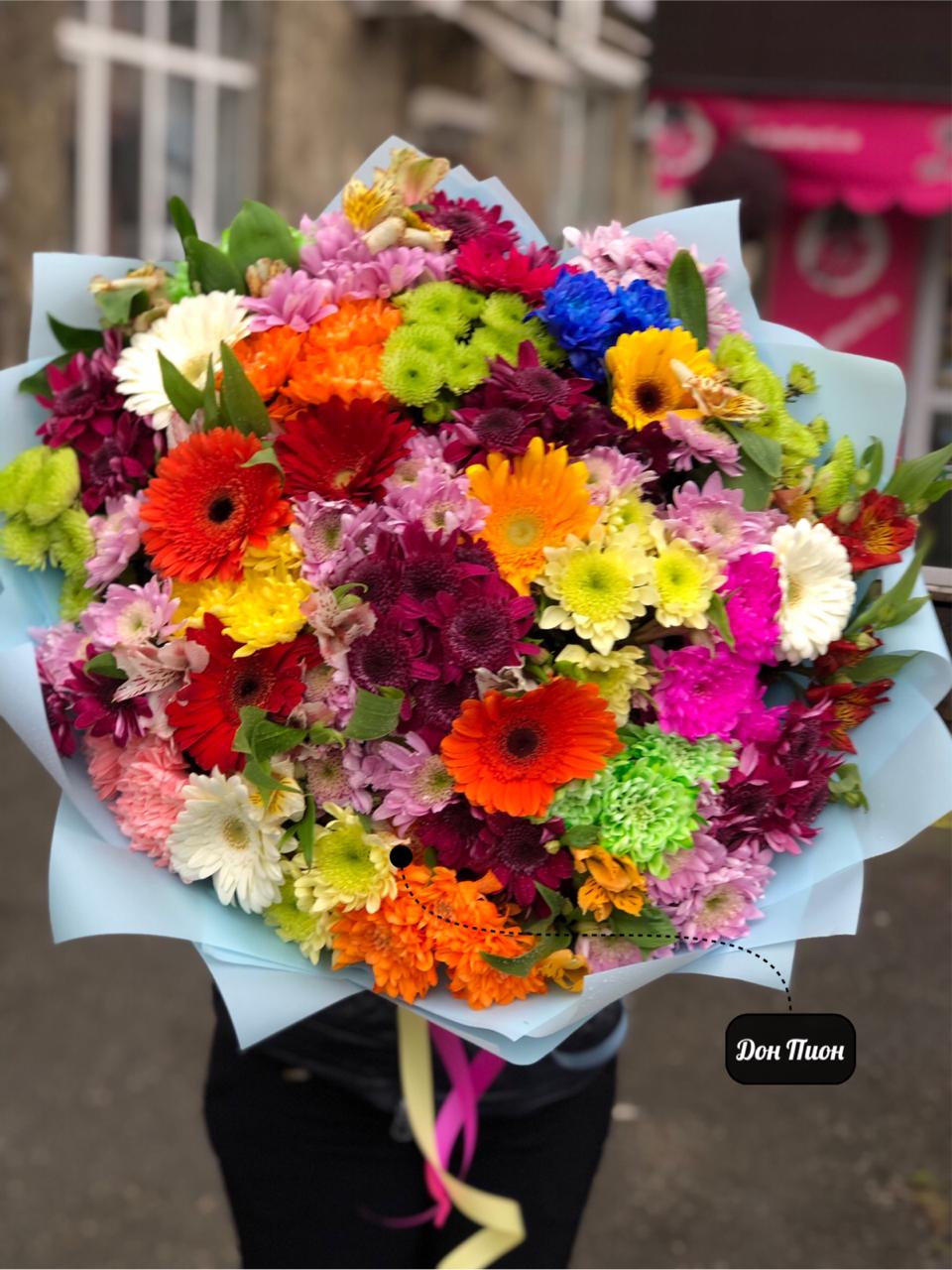 Актриса Весна