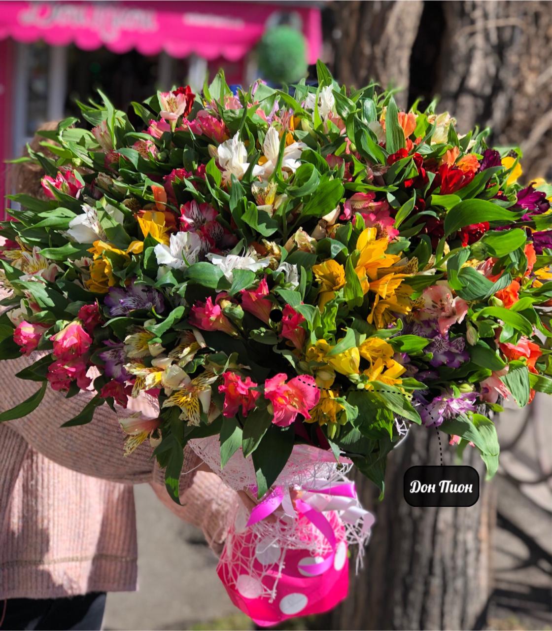 Дикая Орхидея