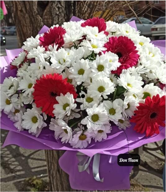 Свет Улыбки