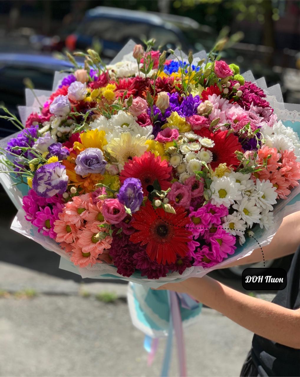 Разноцветия