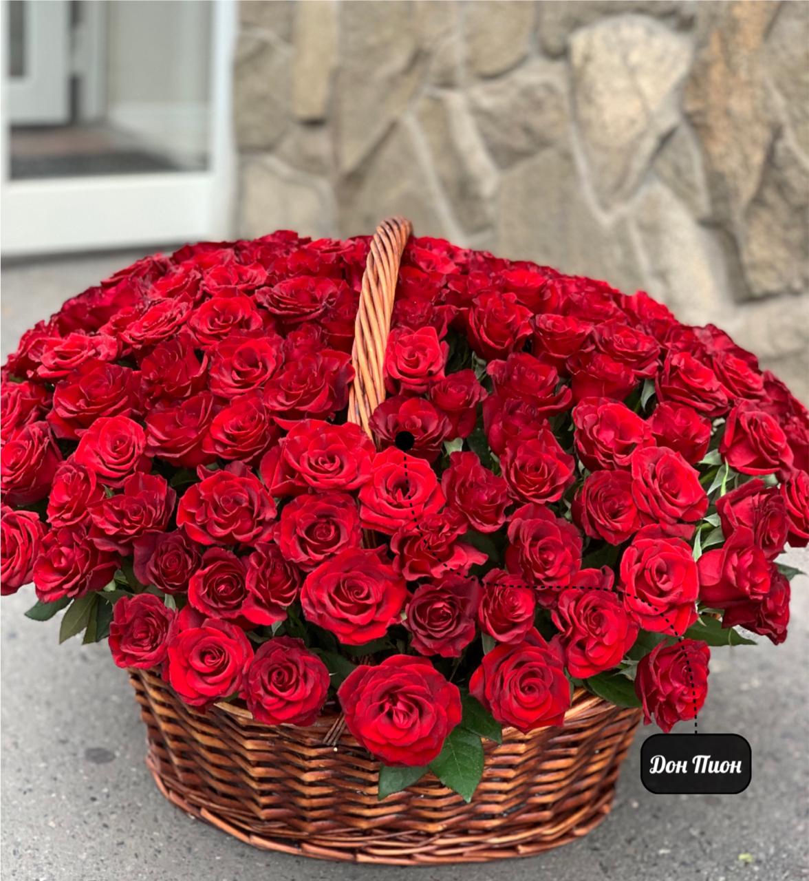 Улыбка Любимой