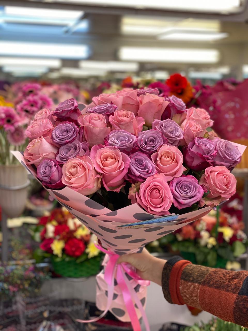 Феолетовые Сны