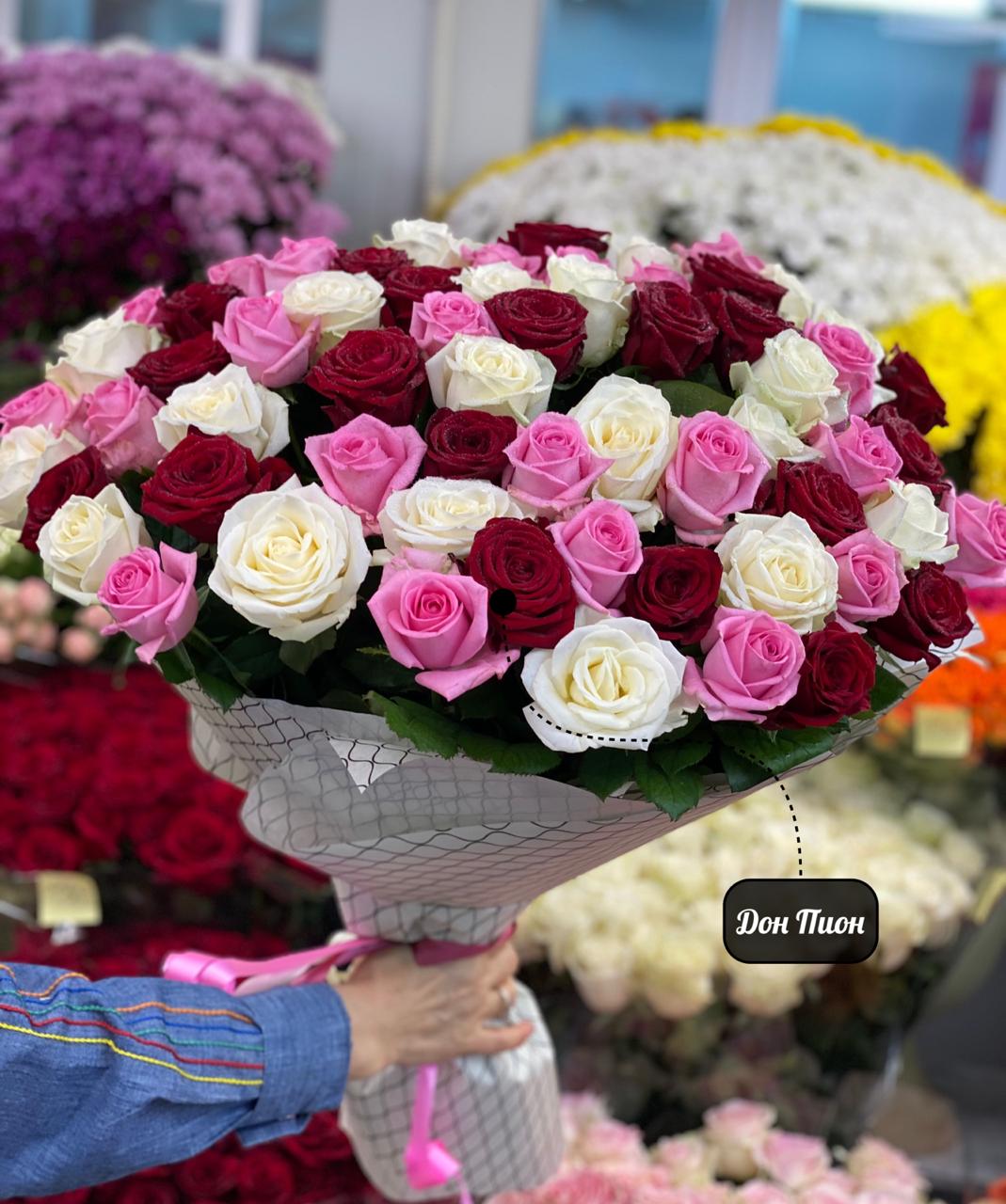 Утренняя  Радость