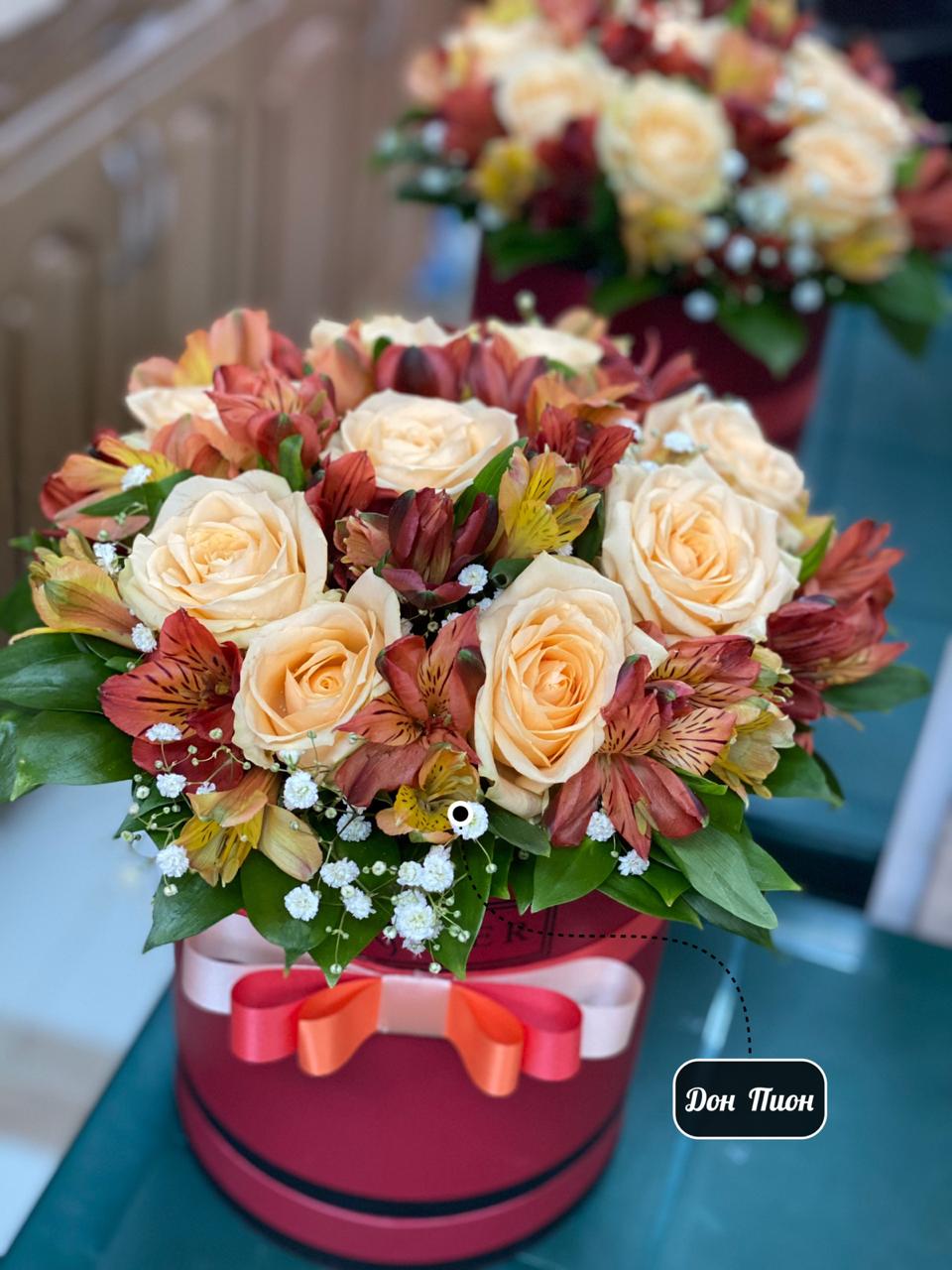 Смелость Плодового Сада