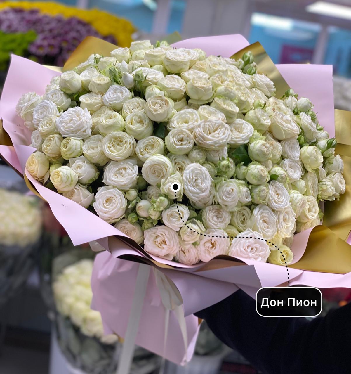 Белый Лебедь