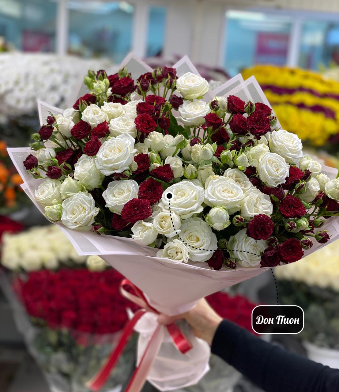 Солнечный Свет