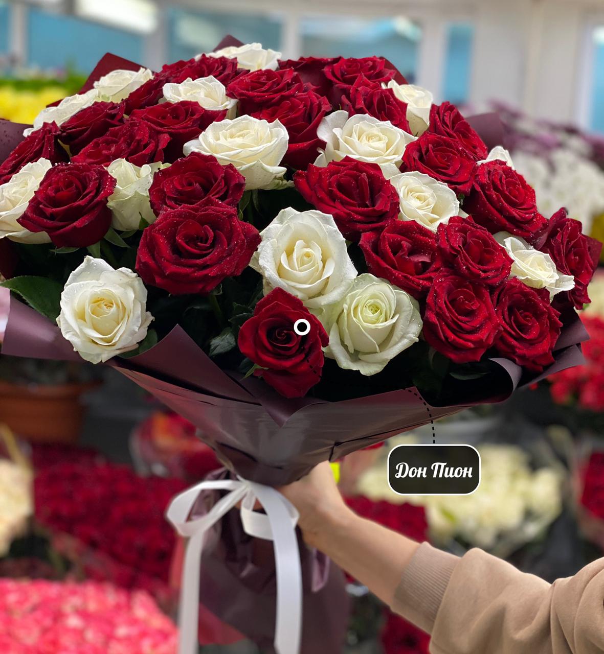 Белая и Красное