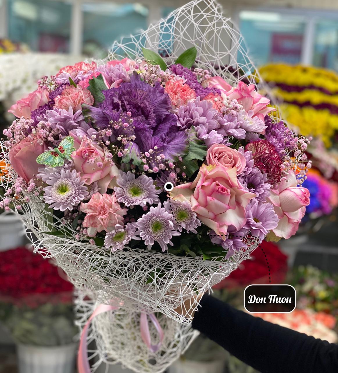 Белла Сеньорита