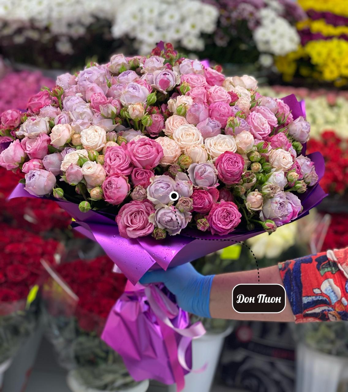 ,,Поцелуй Солнца,,