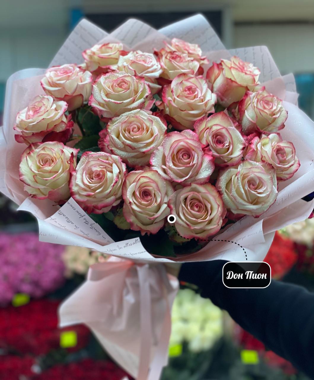 Лавандовые сны