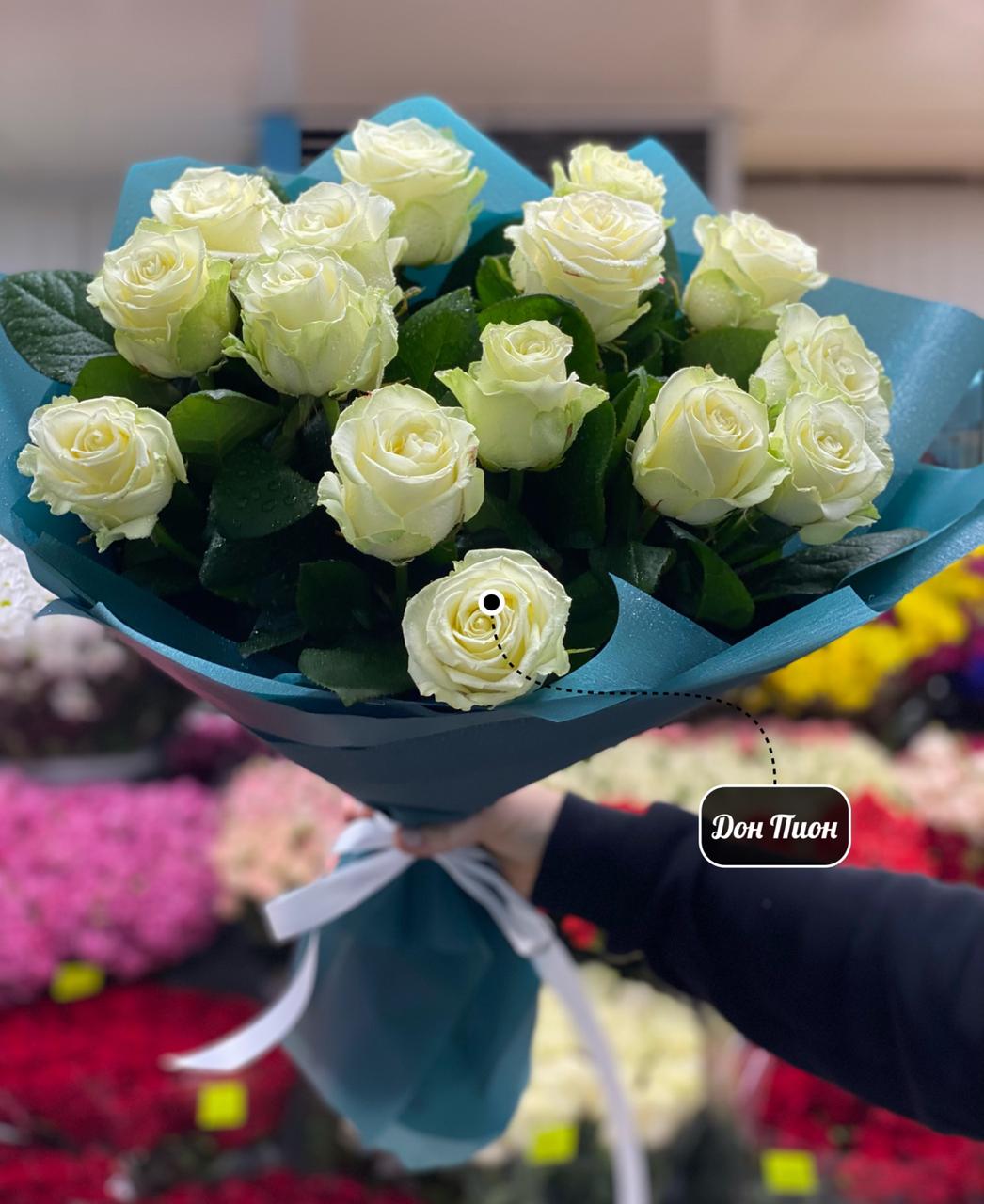 Лунный Свет