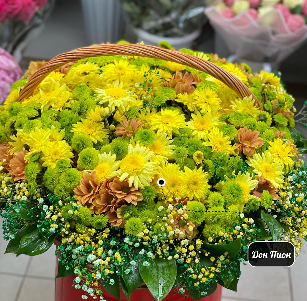 Солнце  Встаёт 