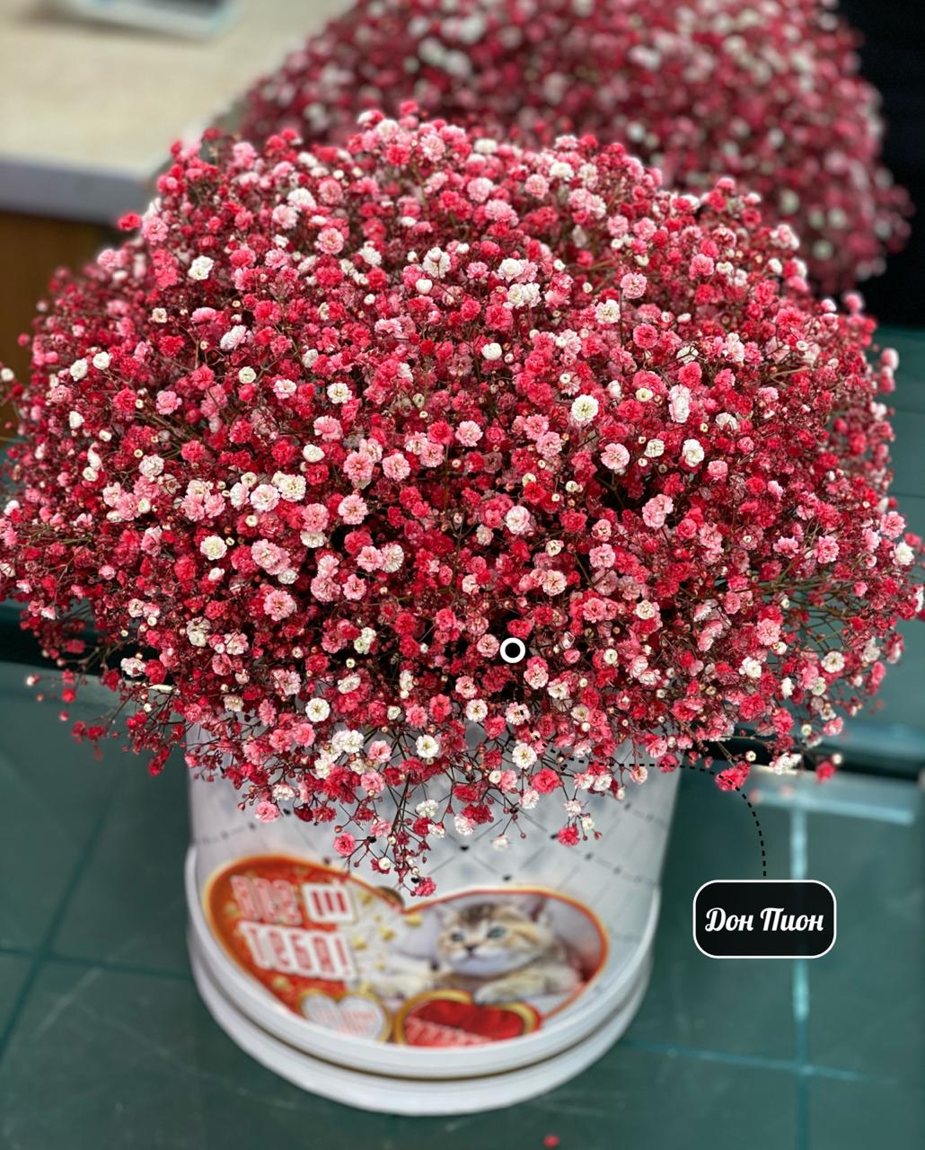 Все Для Тебя