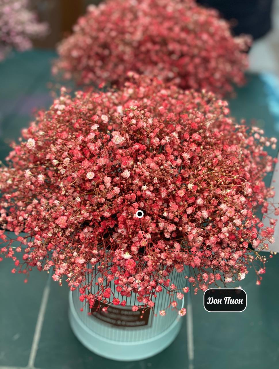 Цвета Листопада