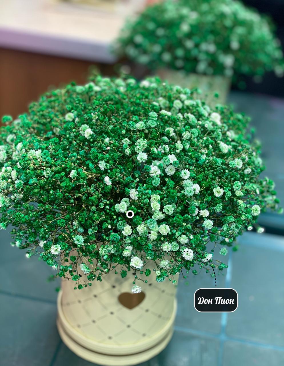 Зеленый Луг