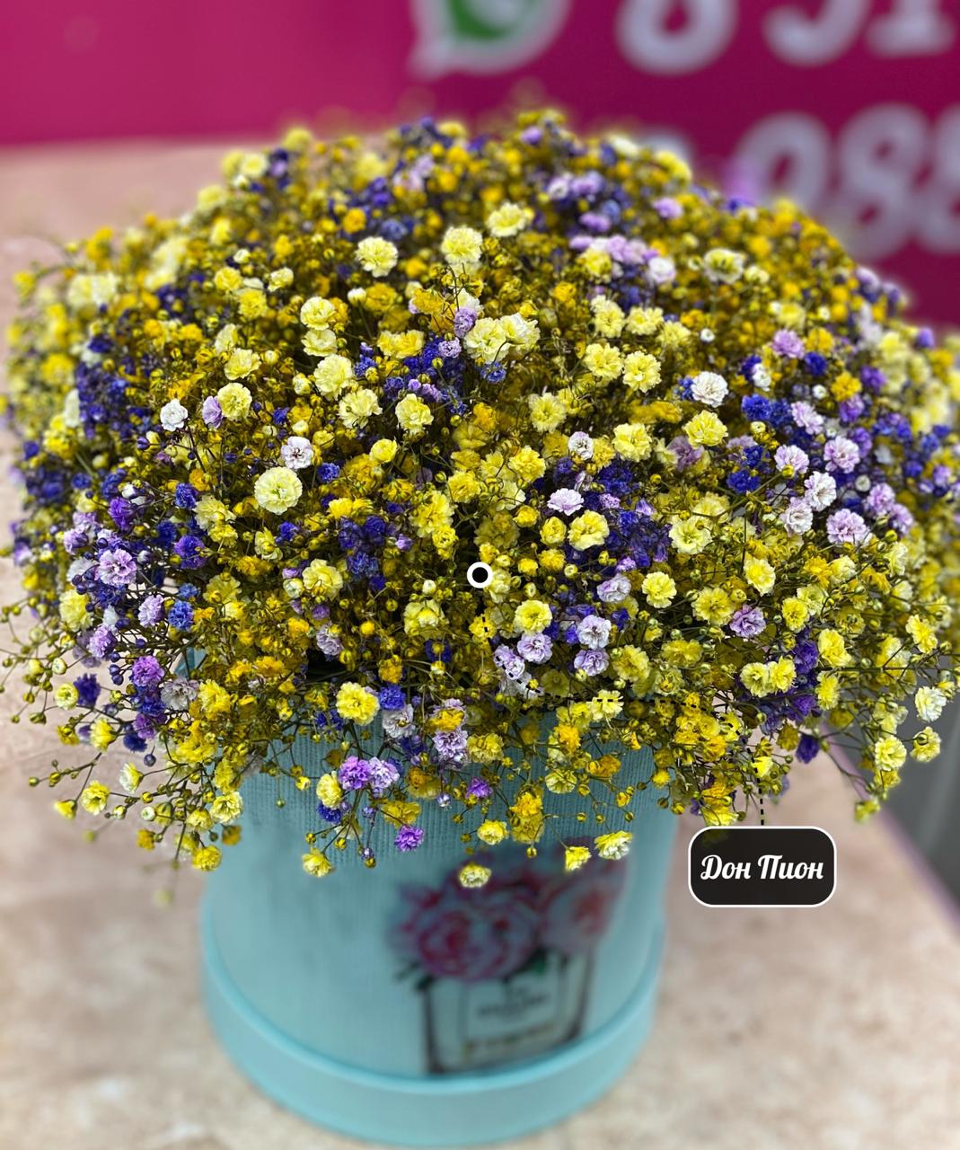 Бархатный Сезон