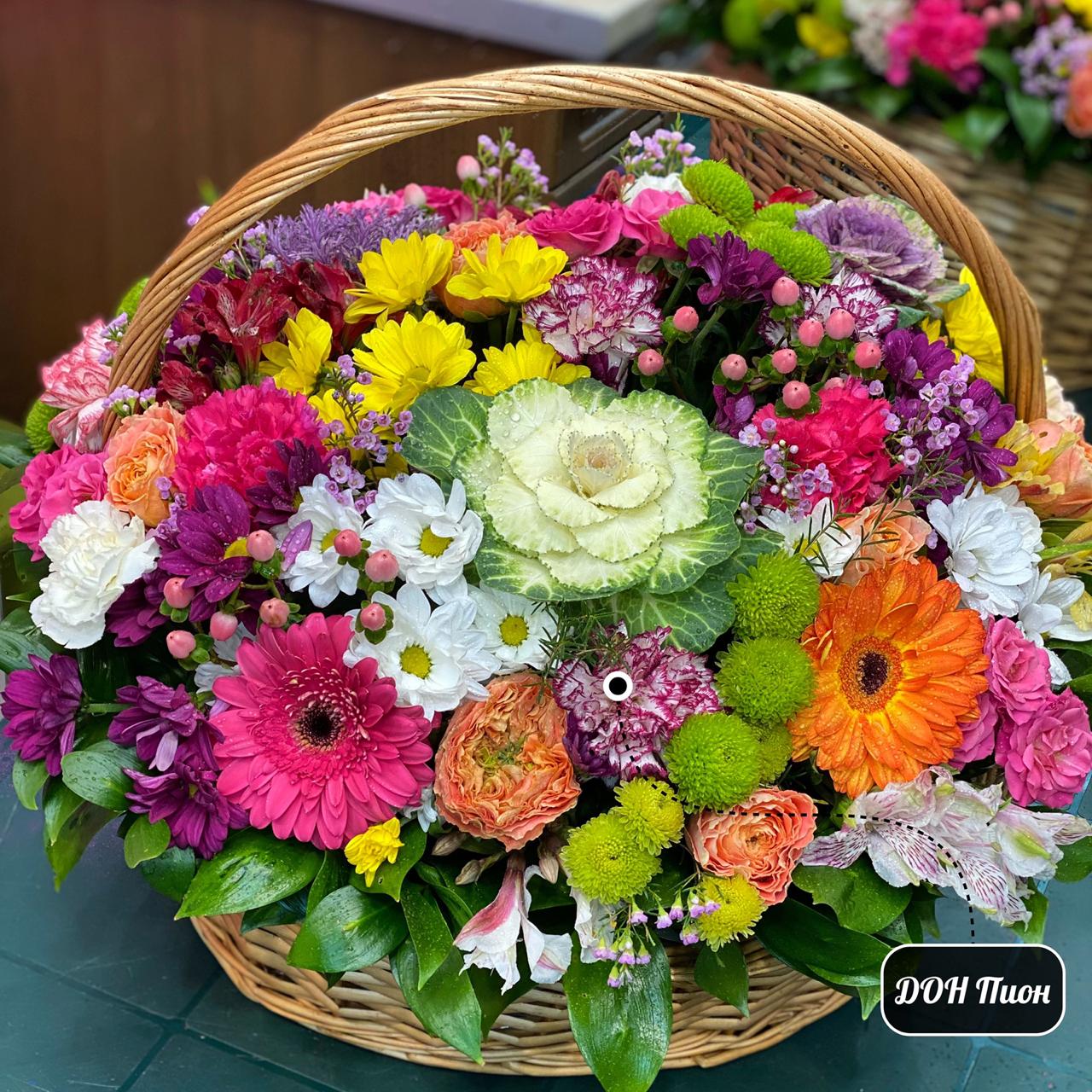 Летом в Лесу