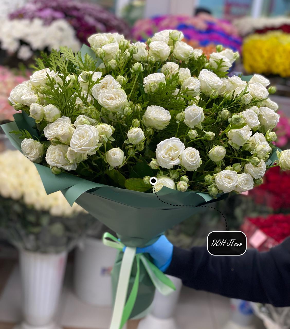 С белой пионовидной  розы