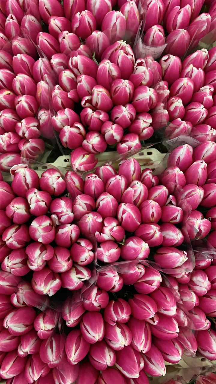 Кондиционер Эппл Делайт