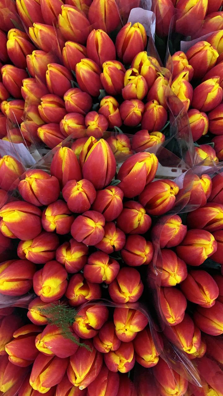 Перестройка