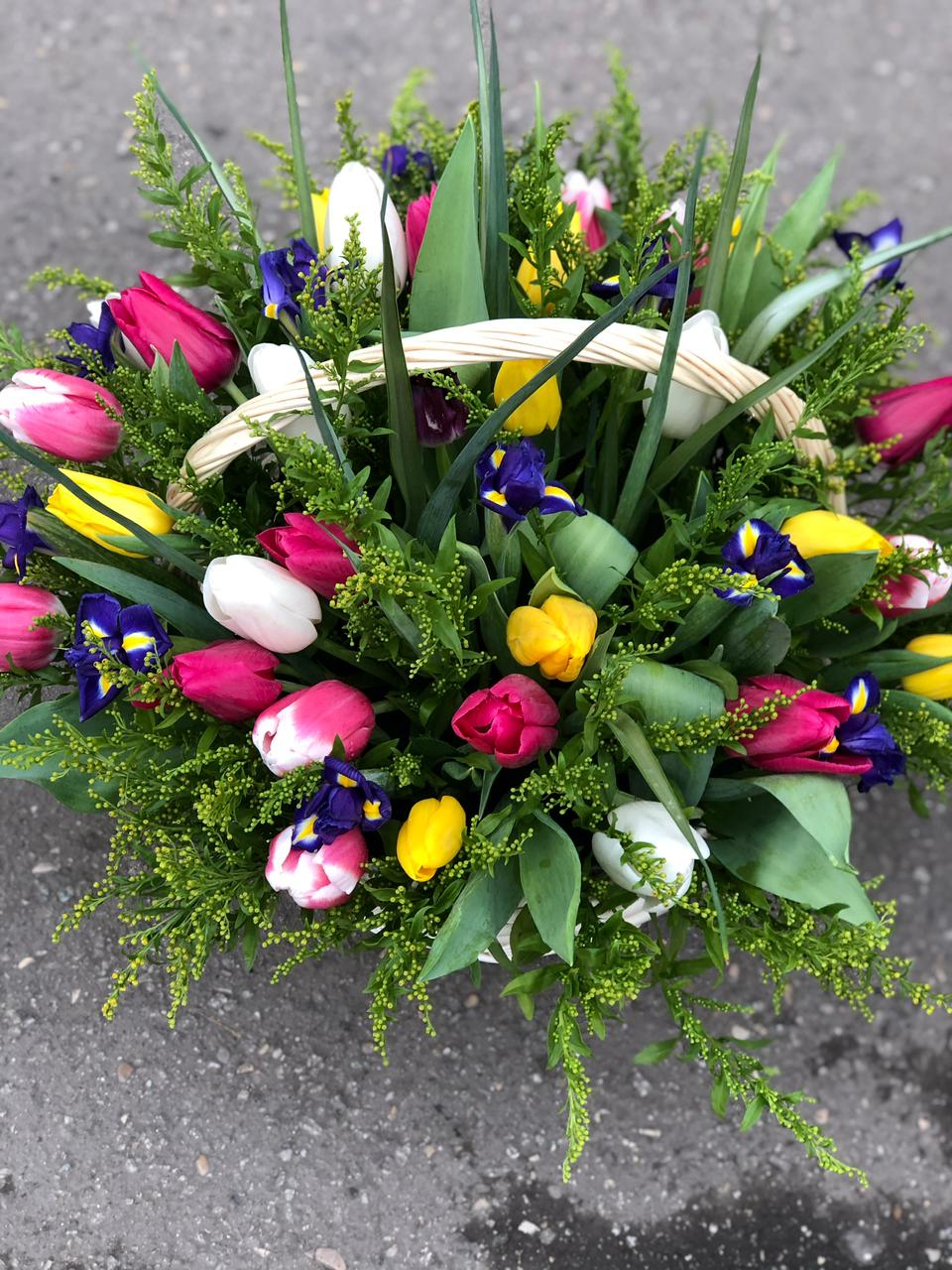 Жизненные силы природы