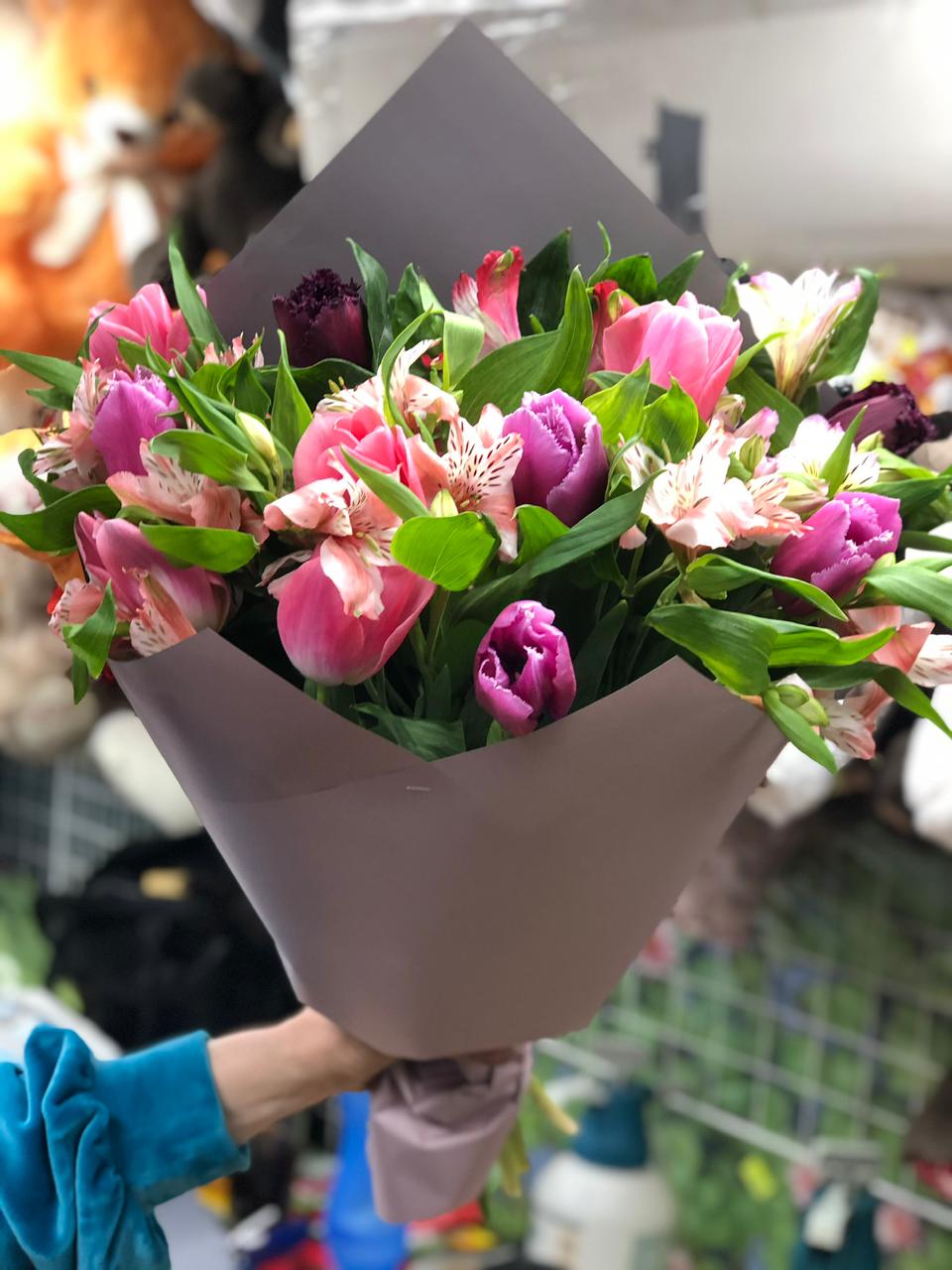 Робкая Надежда