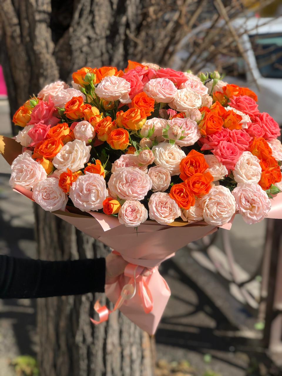 Робкие Чувства