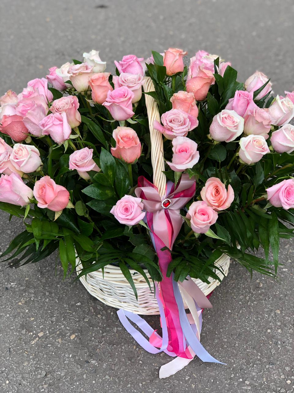 Робкая Надежда